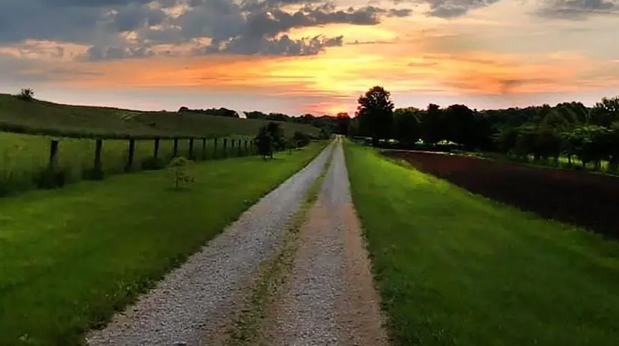 Sunset on country road