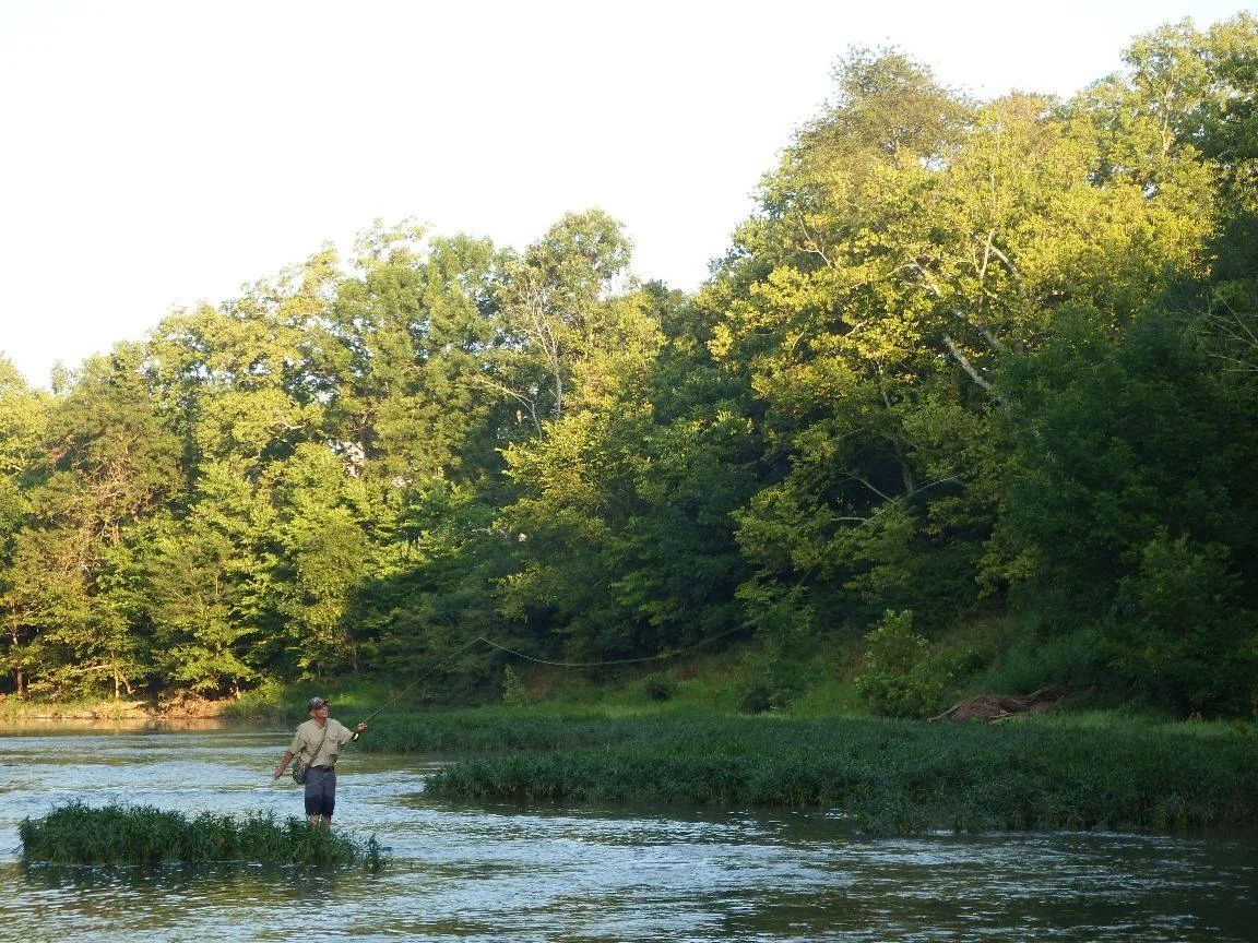 Fisherman standing in the creek